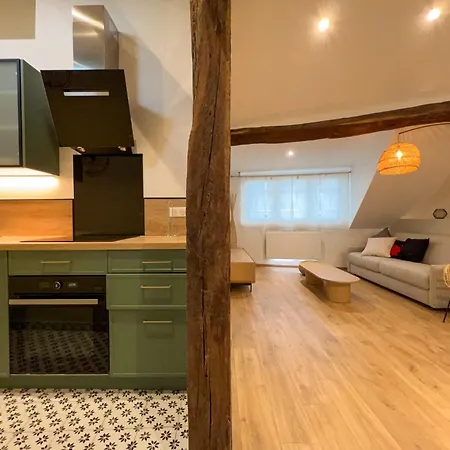Beautilful Flat In Germain En Laye 圣日耳曼昂莱